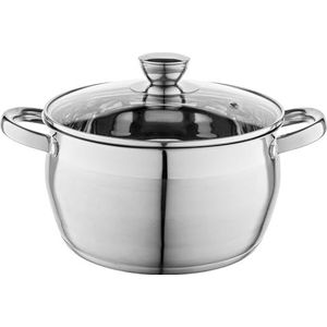 FLORINA Roestvrijstalen kookpan (1,3 l), diameter 14 cm, roestvrijstalen kookpan met glazen deksel, kookpan voor inductie, kookpan voor alle warmtebronnen, vaatwasmachinebestendig