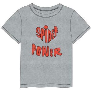 Spiderman - T-shirt voor kinderen, grijs.