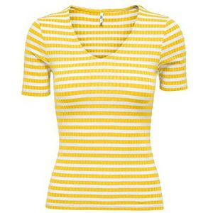 Only Jdyfransiska T-shirt à manches courtes pour femme (taille S/S), Dandelion/Stripes : Cloud Dancer, L