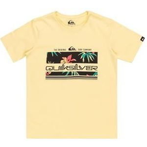 Quiksilver T-shirt pour garçon Motif arc-en-ciel tropical