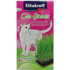 Vitakraft Cat-Grass Kattenkruid om te groeien, 120 g