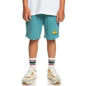 Quiksilver Easy Day shorts voor jongens