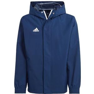 ADIDAS IK4012 ENT22 AW JKTY Jacket Unisex Team Navy Blue 2 maat 1516