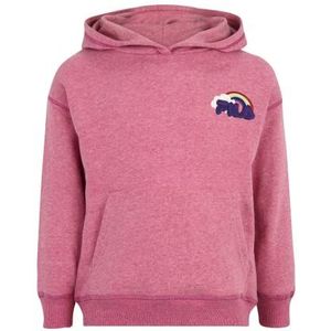 Fila Caan Oversized hoodie voor kinderen, uniseks, Paarse Orchidee Melange