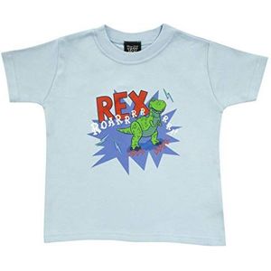 Disney Toy Story Rex Roar T-shirt voor meisjes, blauw, 3-6 maanden, Blauw