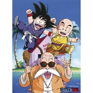 ABYstyle - Dragon Ball - poster ""Kame Team"" (52 x 38 cm)