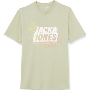 JACK&JONES PLUS T-shirt pour homme, Desert Sage/pack : w. Flint Stone, 4XL grande taille