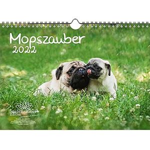 Mopshond magie kalender A4 voor honden en puppy's 2022 - Seelenzauber
