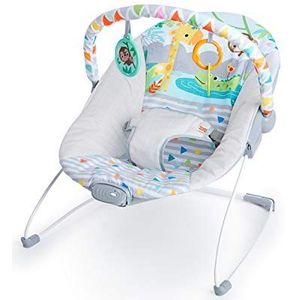 Bright Starts Babywipstoel met rustgevende trillingen, afneembare speelgoedstang, antislippoten, 0-6 maanden, tot 9 kg (Safari Fun)
