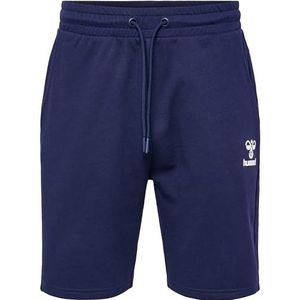 hummel Hmlicons Regular Shorts voor heren