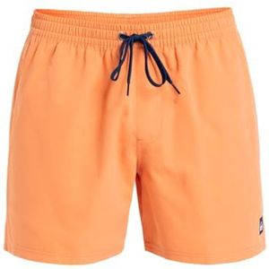 Quiksilver Everyday Solid Volley 15 Jumpsuit voor heren, kort, 1 stuk, Meloen