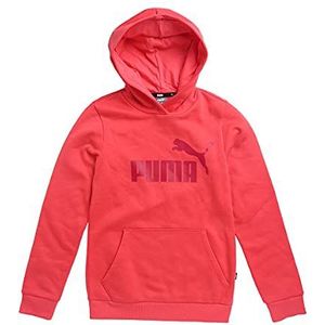 PUMA Essentials Paradise Logo Hoodie roze 116