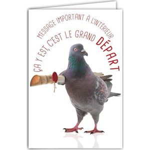 Vertrekkaart naar nieuwe avonturen Humoristische boodschap met envelop geïllustreerd formaat 17,5 x 12 cm grappige duif grappig grappig - verhuizing of pensioen - gemaakt in Frankrijk 69-6224