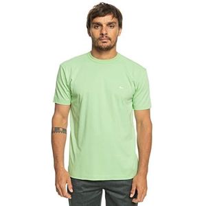 Quiksilver Essentials heren T-shirt (1 stuk)