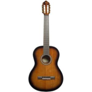 VC564 gitaar 4/4 gradiënt