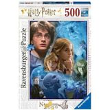 Harry in Hogwarts Puzzel (500 stukjes, Harry Potter thema)