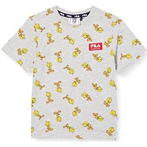 FILA AOP Laage T-shirt voor jongens, lichtgrijs melange Birdy Aop