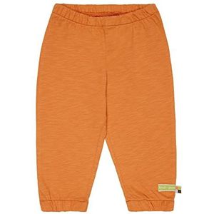 loud + proud Uniseks jersey broek met print, GOTS gecertificeerd, carrotte, 3-4 jaar, sinaasappel wortel