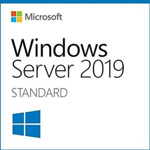 MS Windows Server Cal 2019 French 1pk DSP OEI 1 CLT User Cal (FR)