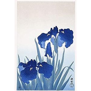 Wee Blue Coo Iris Flowers Ohara Koson ongelijst Art Print Poster Muur Decor 30,5 x 40,6 cm Bloemen Poster Muur Decoratie