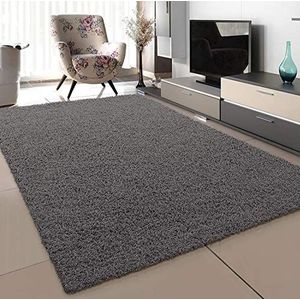 Sanat tapijt, woonkamer, grijs, hoogpolig, langpolig, modern, afmetingen: 60 x 110 cm
