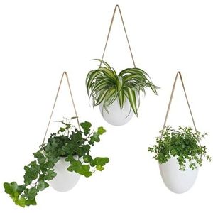 Gadgy Plantenhanger Keramiek | Set van 3 | Hangpotten | Hangende Bloempot | Inclusief 3 Verschillende Koorden met Opbergtasje