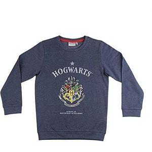 CERDÁ LIFE'S LITTLE MOMENTS - Familial Harry Potter Assorti-sweatshirt - officieel gelicentieerd product van Warner Bros