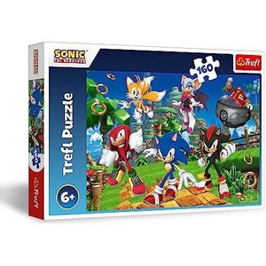 160 stukjes, Sonic & Friends