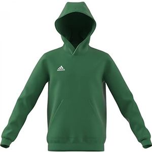 Adidas ENT22 Hoody Y Hooded Sweatshirt, uniseks, kinderen, teagrn/wit, 116