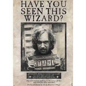 ABYSTYLE Poster Harry Potter Wanted Sirius, 61 x 91,5 cm, zwart