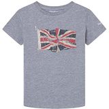 Pepe Jeans Vlag Logo Jr S/S N T-shirt voor kinderen, grijs (Grey Marl), 8 jaar, Grijs (Grijs Marl)
