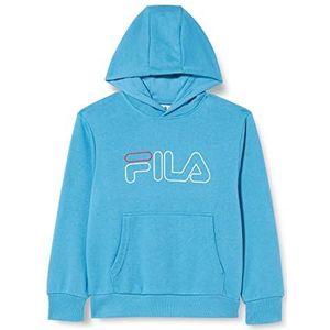 FILA Soul Sweatshirt met capuchon voor jongens, Ash blauw.