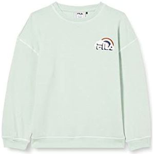 Fila Cösitz Oversized Crew trainingsshirt voor kinderen, uniseks, groen, zilver, 110-116, Zilvergroen gemengd