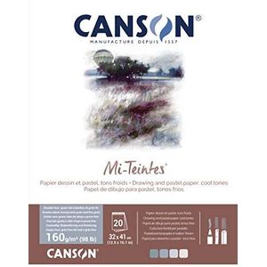 CANSON Halftinten, tekenpapier, kleur, dubbelzijdig: honingraatstructuur, fijne korrel, 160 g/m², 98 lb, blok, kleine kant, 32 x 41 cm, 4 koude tinten, 20 vellen
