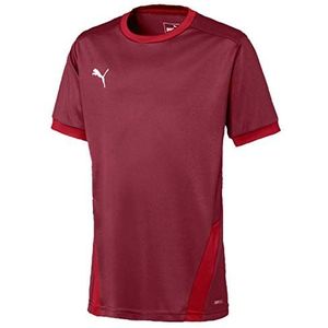 PUMA Kinder teamGOAL 23 Jersey jr Trikot, Cordovan-Chili Pepper, 176