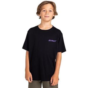 Element Jurassic SS T-Shirt Garçon (Lot de 1)