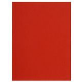 Exacompta - Ref. 150012E - pak van 100 FLASH mappen van 80 g/m2 in felle kleuren - 100% gerecycled en Blue Angel gecertificeerd - afmetingen 22 x 31 cm voor A4-formaat - rode kleur