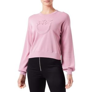 Pinko Acciuga Satijnen shirt met technisch sweatshirt, Henley-shirt voor dames, N98_Orchidee Smoke