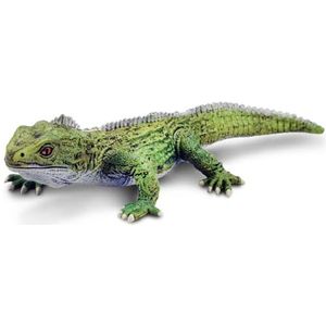 Safari Ltd. Tuatara-figuur, collectie ongelooflijke wezens, niet giftig en BPA-vrij, speelgoeddieren, geschikt voor kinderen vanaf 3 jaar