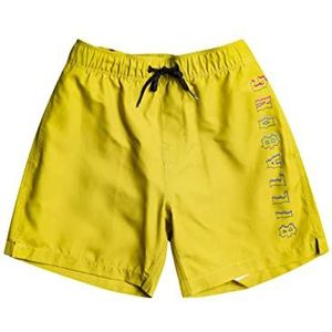 Quiksilver All Day Heritage Lb Badpak voor kinderen en jongeren