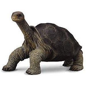 Collecta Wilde Dieren Galapagosreuzenschildpad 8.1 X 5 Cm