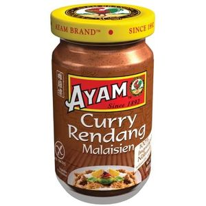 AYAM Rendang Currypasta, 100% natuurlijke ingrediënten, authentieke smaken, gemakkelijk te koken, Maleisische curry, gezond, glutenvrij, lactosevrij, zonder conserveringsmiddelen, 100 g, 1 stuk