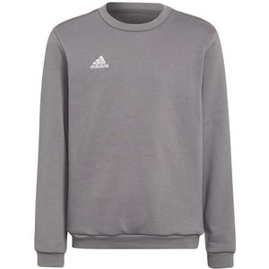 adidas Ent22 SW Topy Sweatshirt Uniseks kinderen