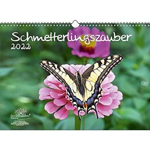 Butterfly Magic Kalender DIN A3 voor vlinder 2022