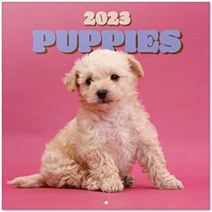 Grupo Erik - Wandkalender 2023 honden – 12 maanden | januari 2023 tot december 2023 | 30 x 60 cm, FSC-gecertificeerd, maandkalender in het Frans