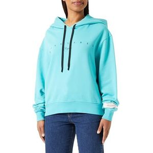 Replay Sweat à capuche pour femme, 337 Amalfi Green, XS