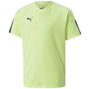 PUMA Individualfinal Jersey Jr Voetbalshirt, uniseks, kinderen