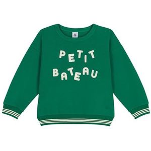 Petit Bateau Sweat-shirt à manches longues pour garçon, Jardin, 6 ans