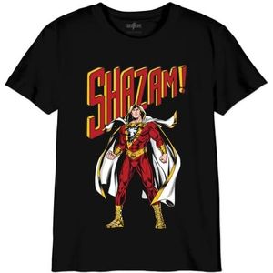 dc comics Boshazots003 T-shirt voor jongens (1 stuk), zwart.