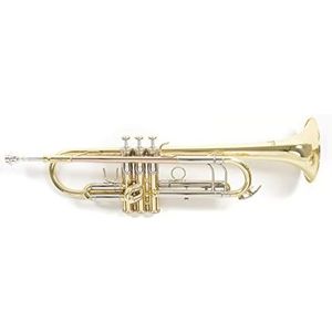Roy Benson Bb trompet TR-403 gelakt met lichte rechthoekige tas